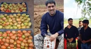 क्रिकेट बाद अब धोनी सब्जी बेचने की तैयारी